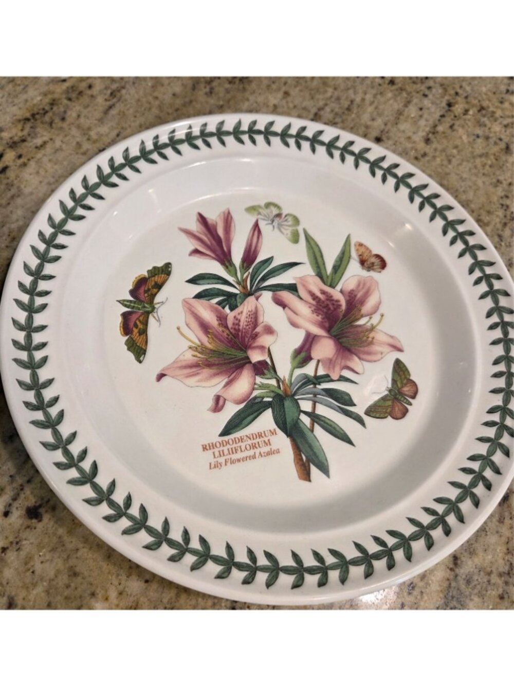Portmeirion Dinner Plates Set 2 Rhododendrum Liliflorum & Prunus Dulcis - Picture 3 of 10